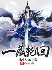 一藏轮回小说
