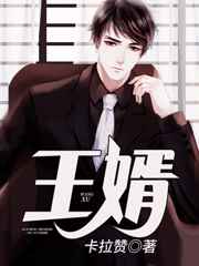 王婿小说