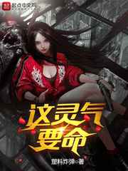 这灵气要命小说