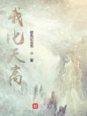 我比天高小说