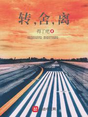 转，舍，离小说