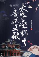 贵妃又被太子宠野了小说