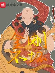 网游之金刚不坏(铁牛仙)小说