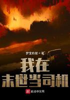 我在末世当司机小说