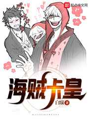 海贼卡皇小说
