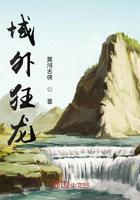 域外狂龙小说