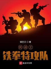 抗战之铁拳特攻队小说