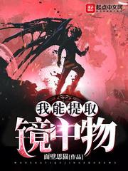 我能提取镜中物小说