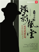 谍影风云(民国谍影)小说