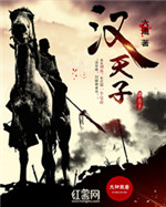 汉天子小说