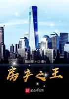 房产之王小说