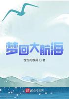 梦回大航海小说