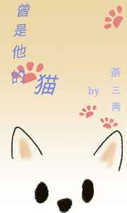 曾是他的猫小说