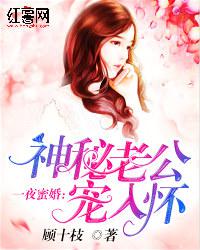 一夜蜜婚：神秘老公宠入怀小说