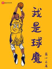 我是球魔小说