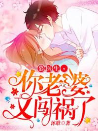 慕医生，你老婆又闯祸了小说