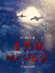 当梦境映入现实小说