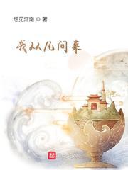 我从凡间来小说