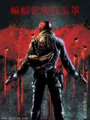 蝙蝠侠和红头罩小说