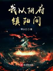 我以阴府镇阳间小说
