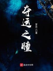 夺运之瞳小说
