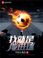 我就是能进球小说