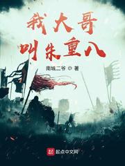 我大哥叫朱重八小说