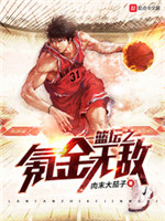 篮坛之氪金无敌小说