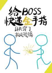 给BOSS快递金手指小说