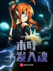 木叶一发入魂小说