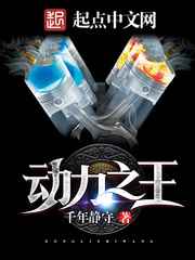 动力之王小说