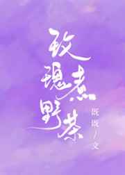 玫瑰煮野茶小说