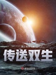 传送双生小说