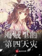海贼里的第四天灾小说