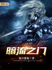 暗流之门小说