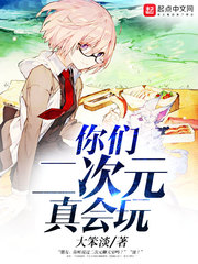 你们二次元真会玩小说