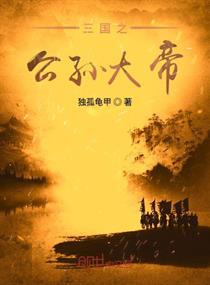三国之公孙大帝小说