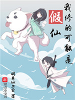 我修的可能是假仙小说