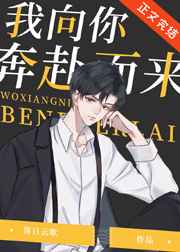 我向你奔赴而来小说