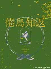 倦鸟知返小说