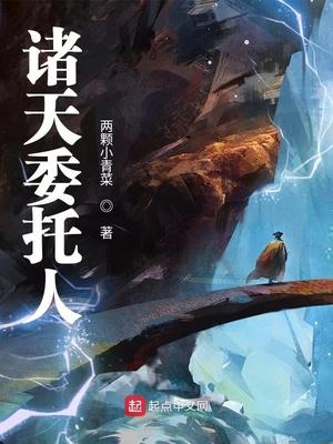 诸天委托人小说