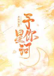 予你星河小说