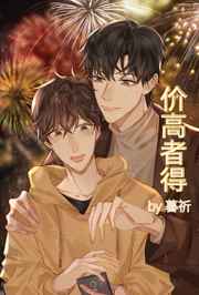 价高者得小说