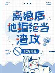 离婚后他拒绝当渣攻小说