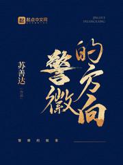 警徽的方向小说