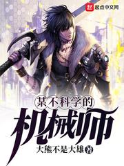 某不科学的机械师小说