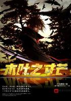 木叶之寸芒小说