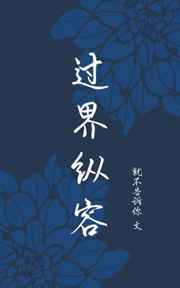 过界纵容小说