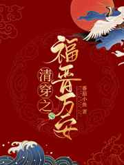 清穿之福晋万安小说
