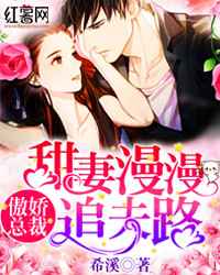 傲娇总裁：甜妻漫漫追夫路小说